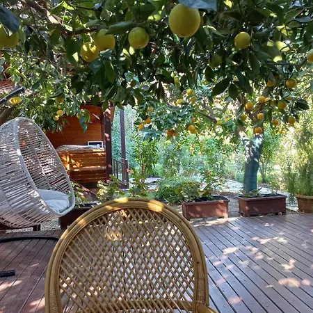 Bahce Villa Cirali
