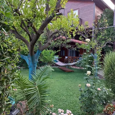 Villa Bahçe *