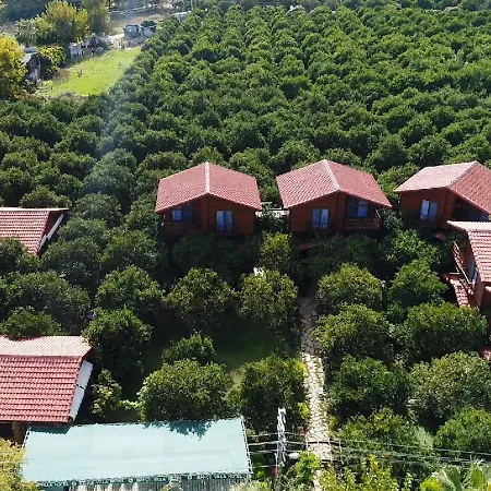Villa Bahçe *