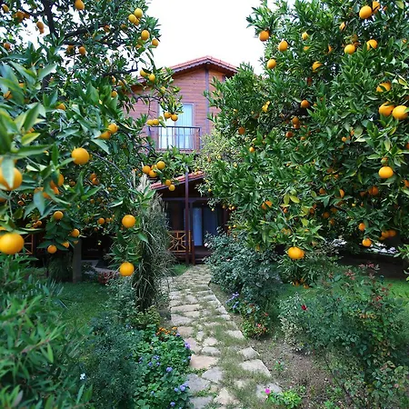 Bahçe Villa *